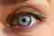 This image for Image Layouts addon